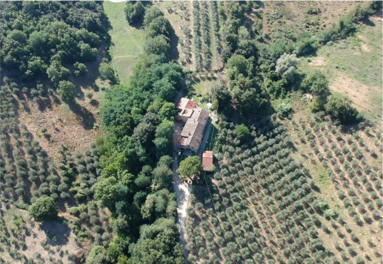 Agriturismo Fattoria Celle Figline Valdarno Dış mekan fotoğraf