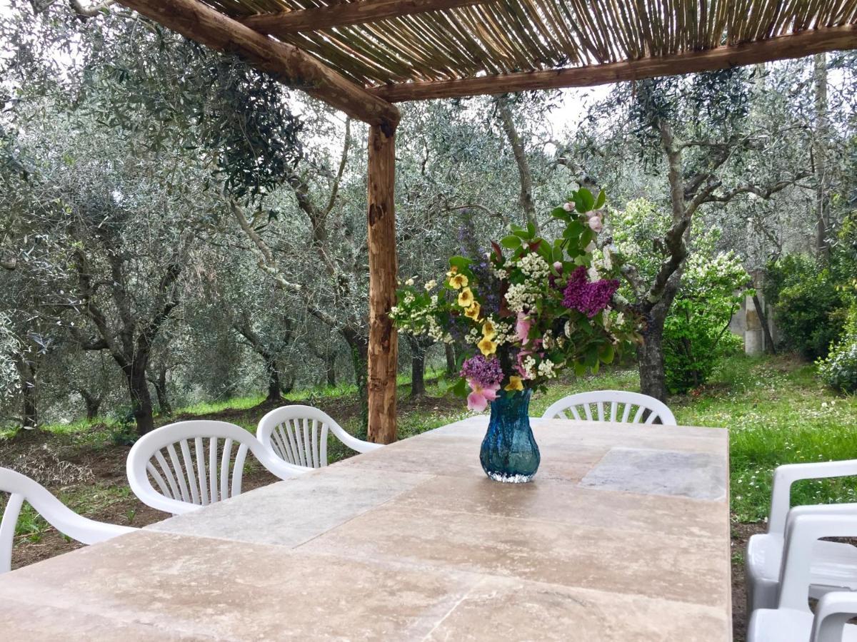 Agriturismo Fattoria Celle Figline Valdarno Dış mekan fotoğraf