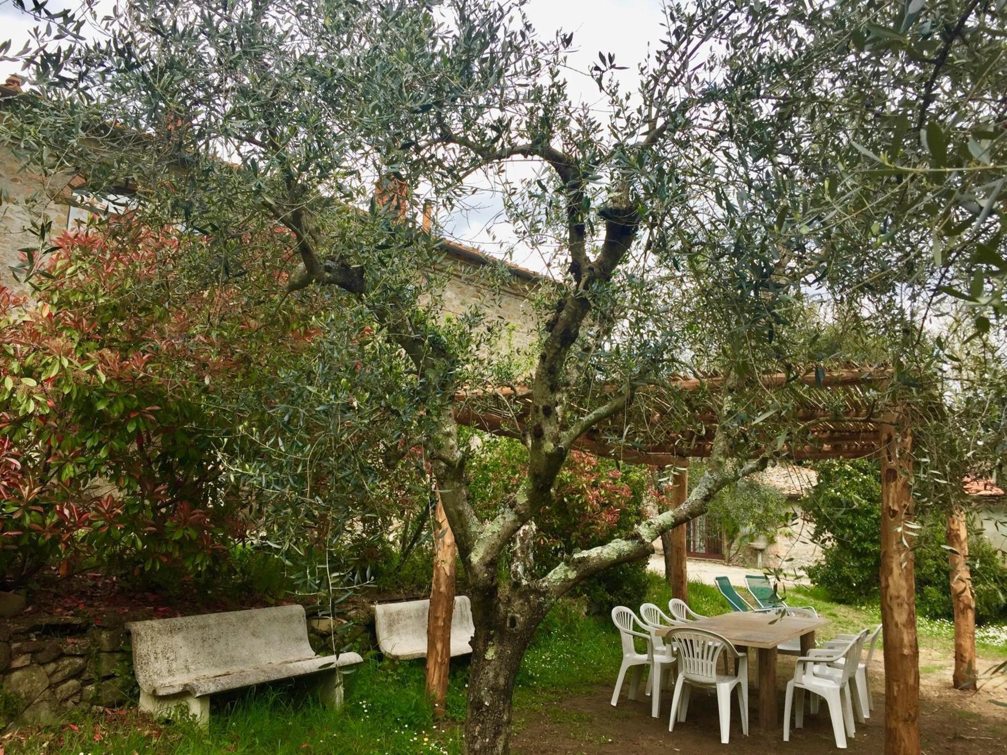 Agriturismo Fattoria Celle Figline Valdarno Oda fotoğraf