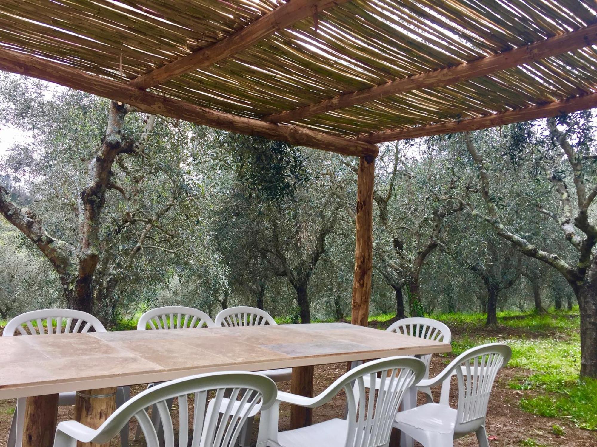 Agriturismo Fattoria Celle Figline Valdarno Oda fotoğraf